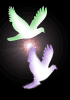 doves2.gif
